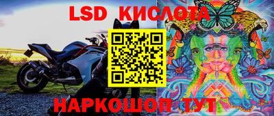 бошки Заводоуковск