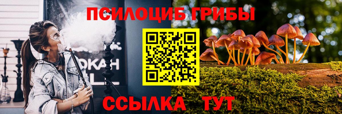 Малгобек  Галлюциногенные грибы ЛСД  Вход с VPN  Галлюциногенные грибы мухоморы 